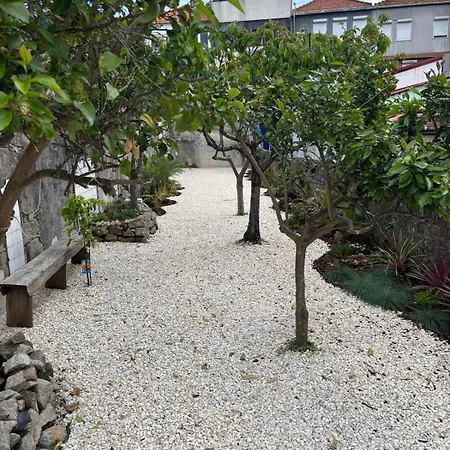 De Luxo No - T0